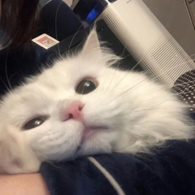 个人养老金制度即将启动 银行迅速跟进